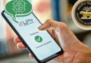 UPI Records Highest-Ever Monthly Transactions in January