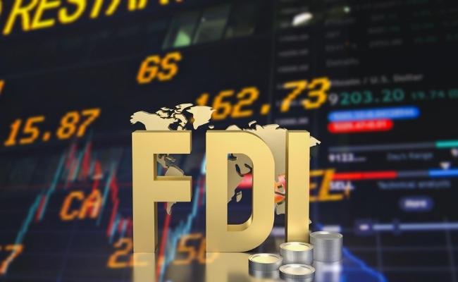RBI governor says FDI outflows and forex swings are being monitored