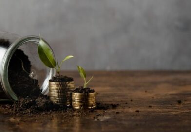 DSP Mutual Fund sees opportunity in rupee assets