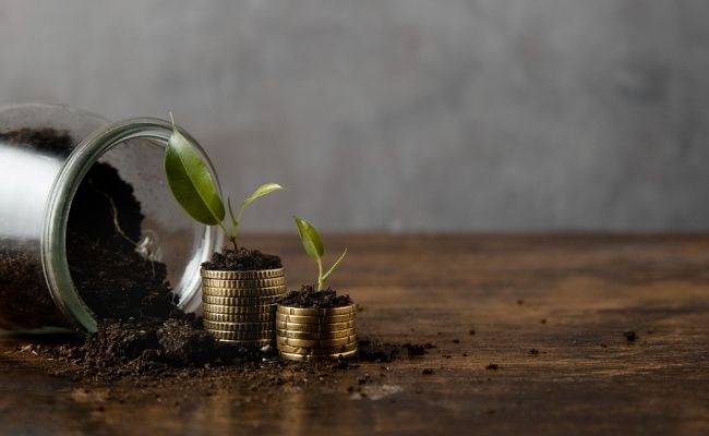 DSP Mutual Fund sees opportunity in rupee assets