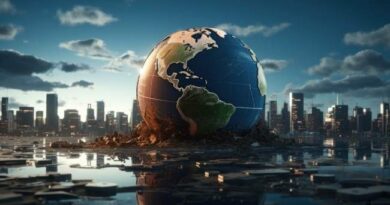 IMF and World Bank Loans Reshape African Policy