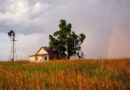 Financial Health of Regional Rural Banks Improves Financial Health of Regional Rural Banks Improves