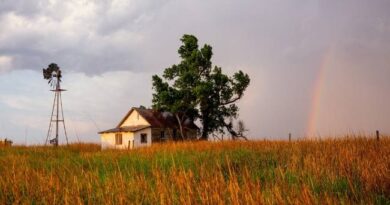 Financial Health of Regional Rural Banks Improves